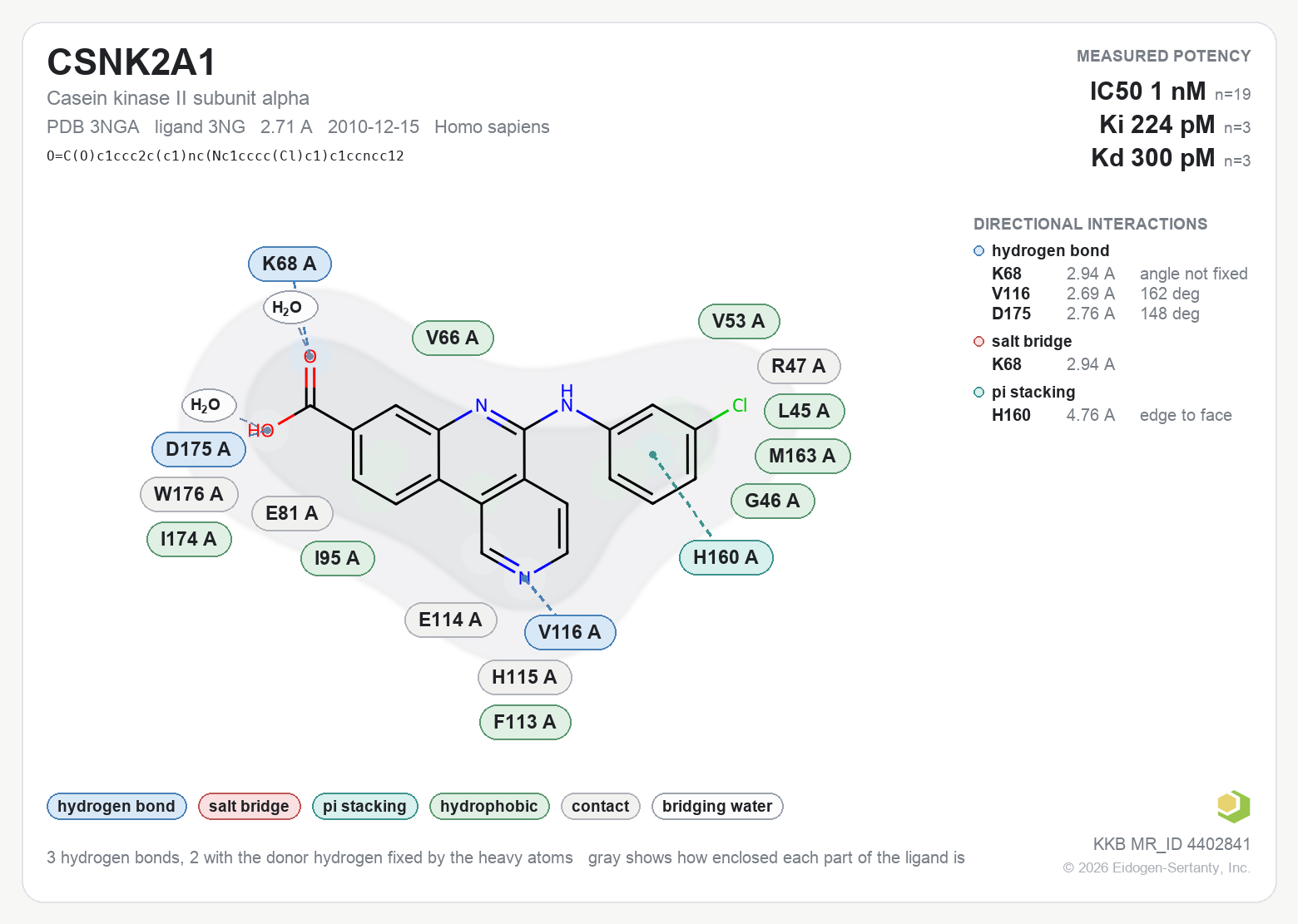Contact map for CSNK2A1 with ligand 3NG from PDB entry 3NGA, showing the ligand as a flat structure with its measured interactions labeled by residue.