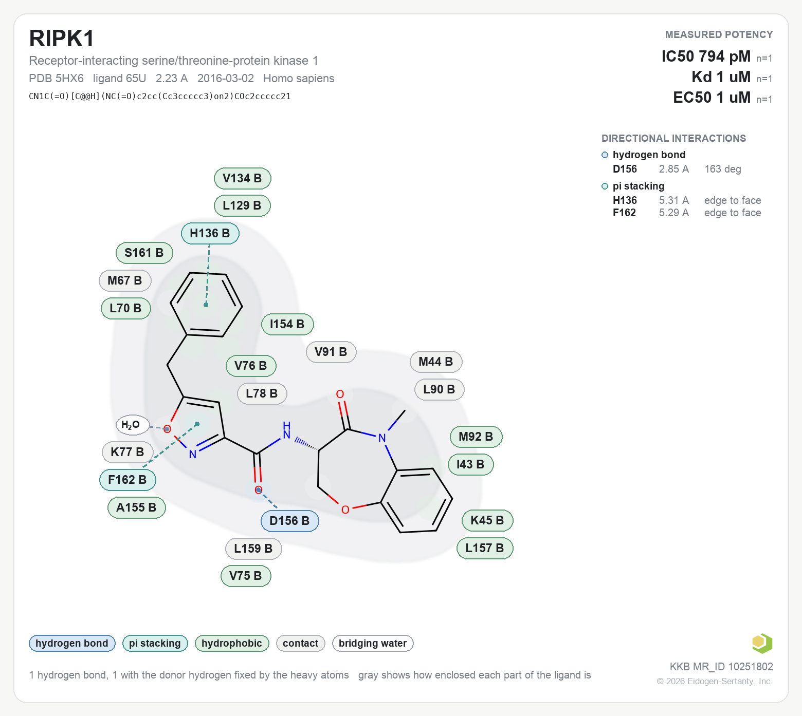 Contact map for RIPK1 with ligand 65U from PDB entry 5HX6, showing the ligand as a flat structure with its measured interactions labeled by residue.