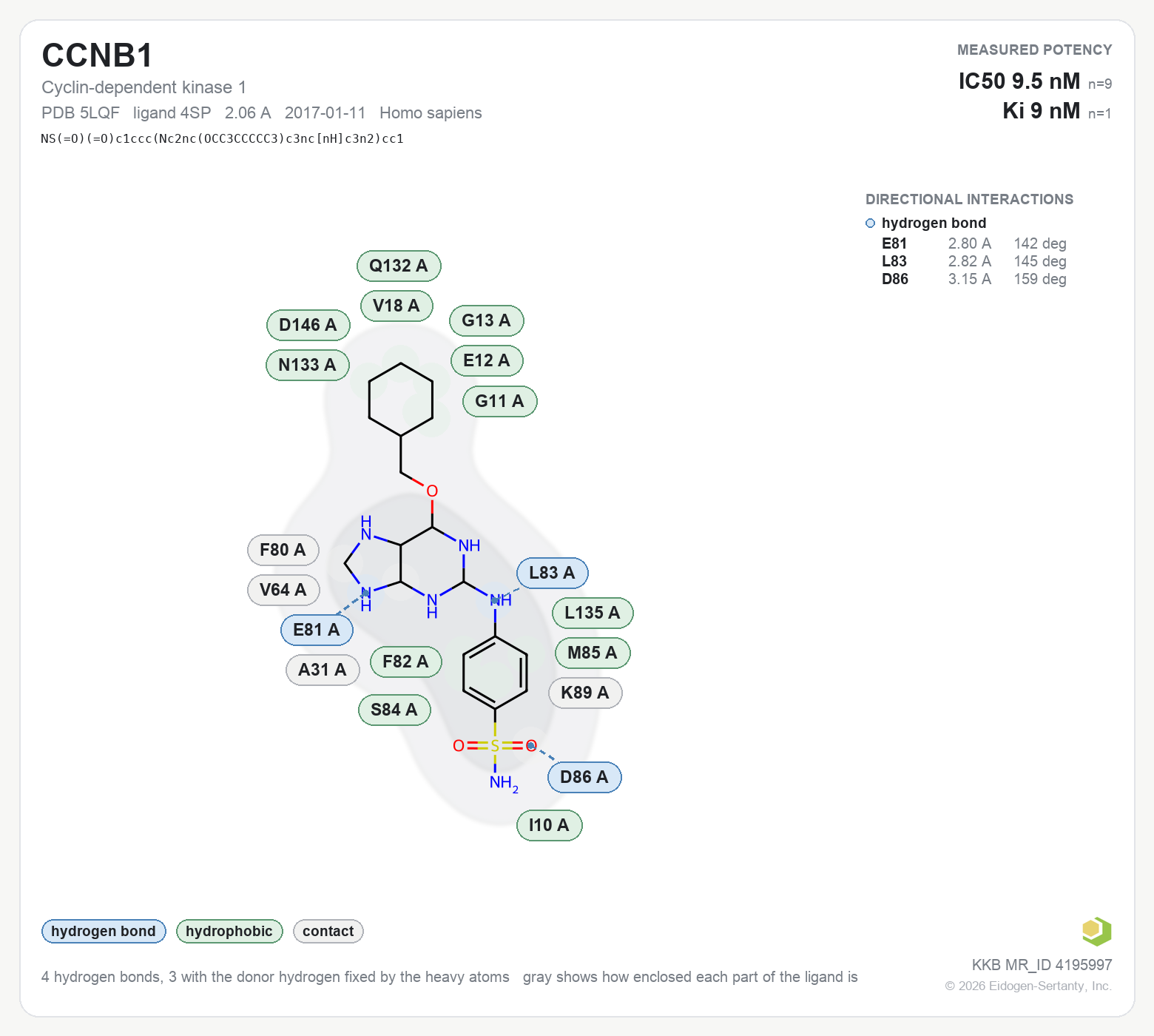 Contact map for CCNB1 with ligand 4SP from PDB entry 5LQF, showing the ligand as a flat structure with its measured interactions labeled by residue.