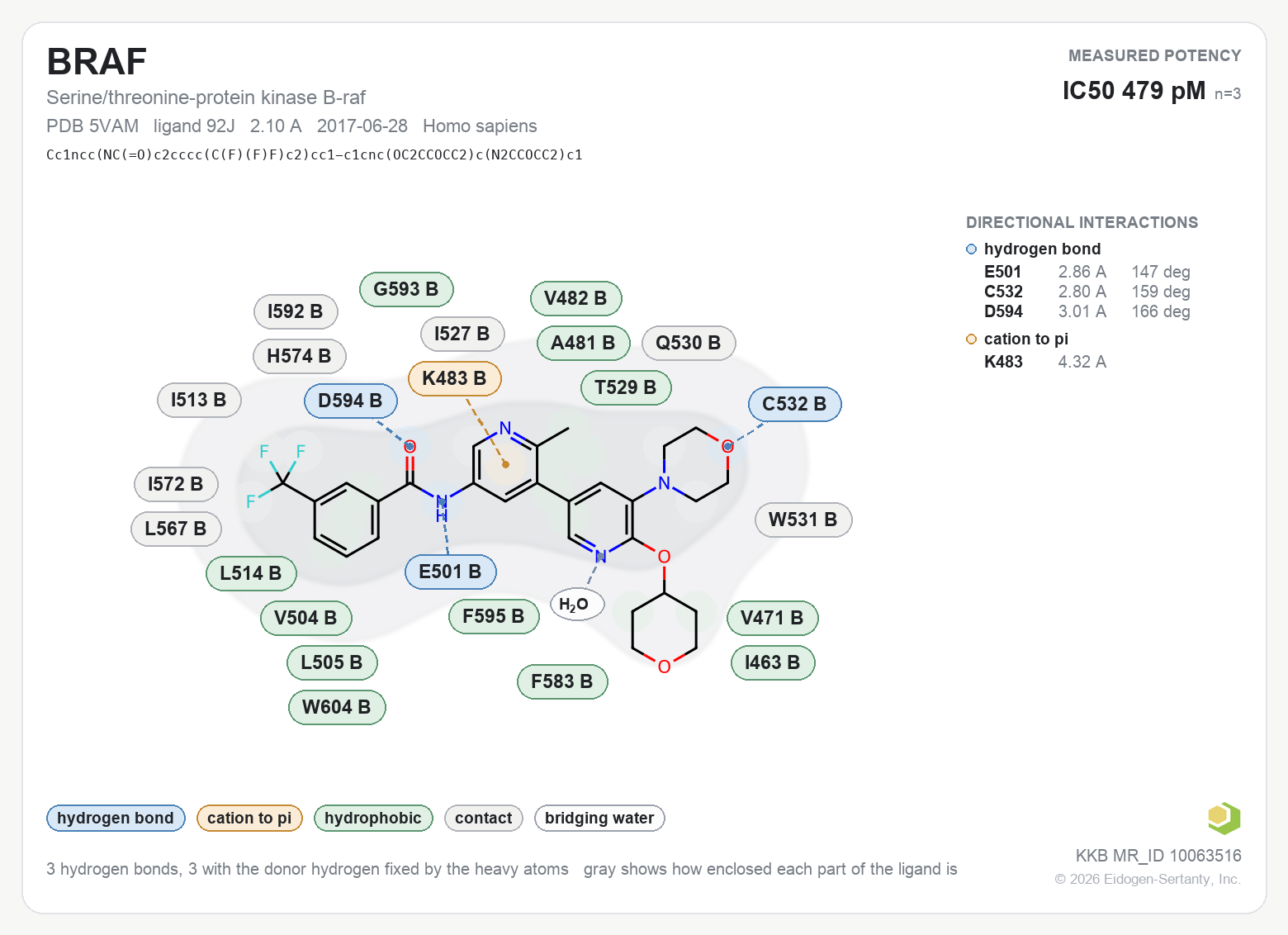 Contact map for BRAF with ligand 92J from PDB entry 5VAM, IC50 0.479 nM in the Kinase Knowledgebase, showing the measured interactions on the flat structure