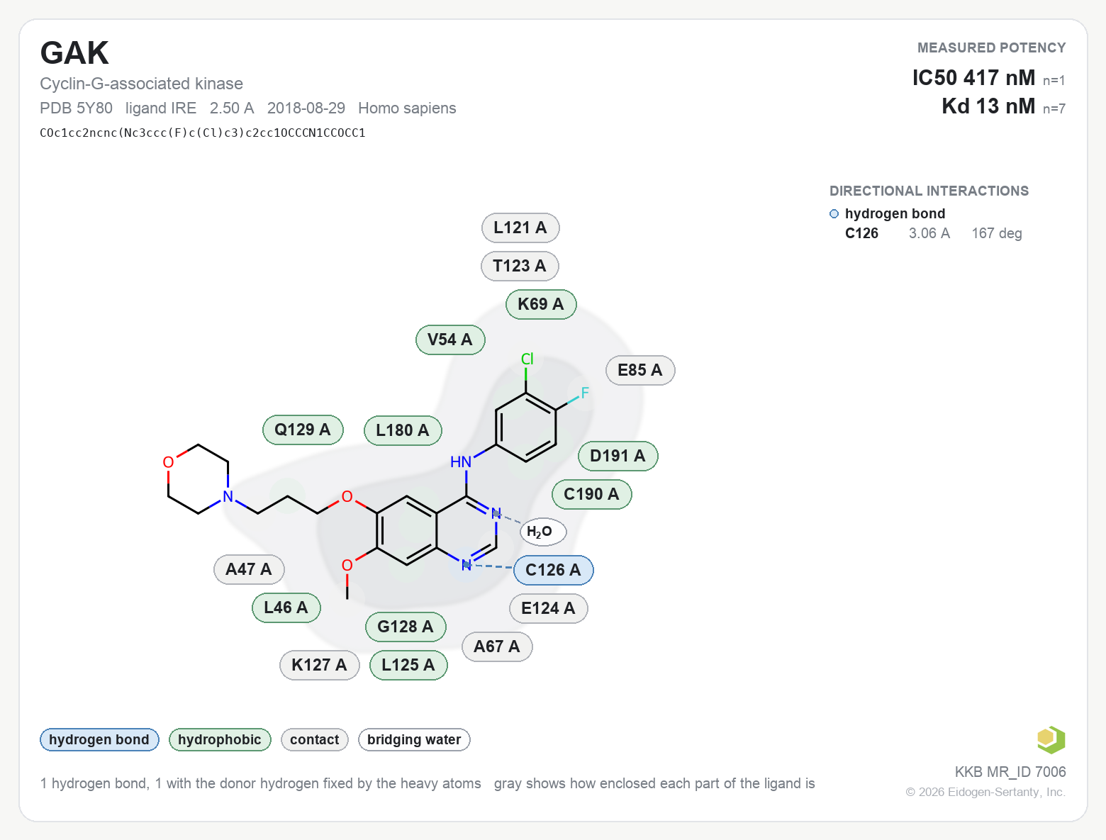 Contact map for GAK with ligand IRE from PDB entry 5Y80, IC50 417 nM in the Kinase Knowledgebase, showing the measured interactions on the flat structure