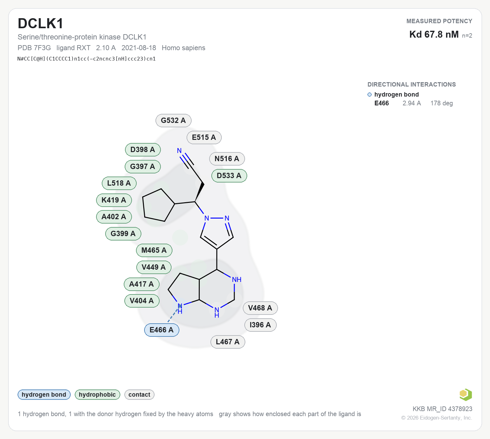 Contact map for DCLK1 with ligand RXT from PDB entry 7F3G, showing the ligand as a flat structure with its measured interactions labeled by residue.