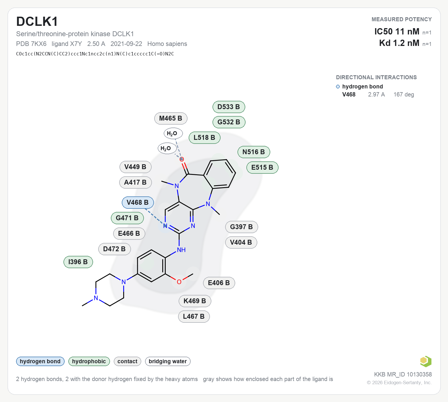 Contact map for DCLK1 with ligand X7Y from PDB entry 7KX6, showing the ligand as a flat structure with its measured interactions labeled by residue.