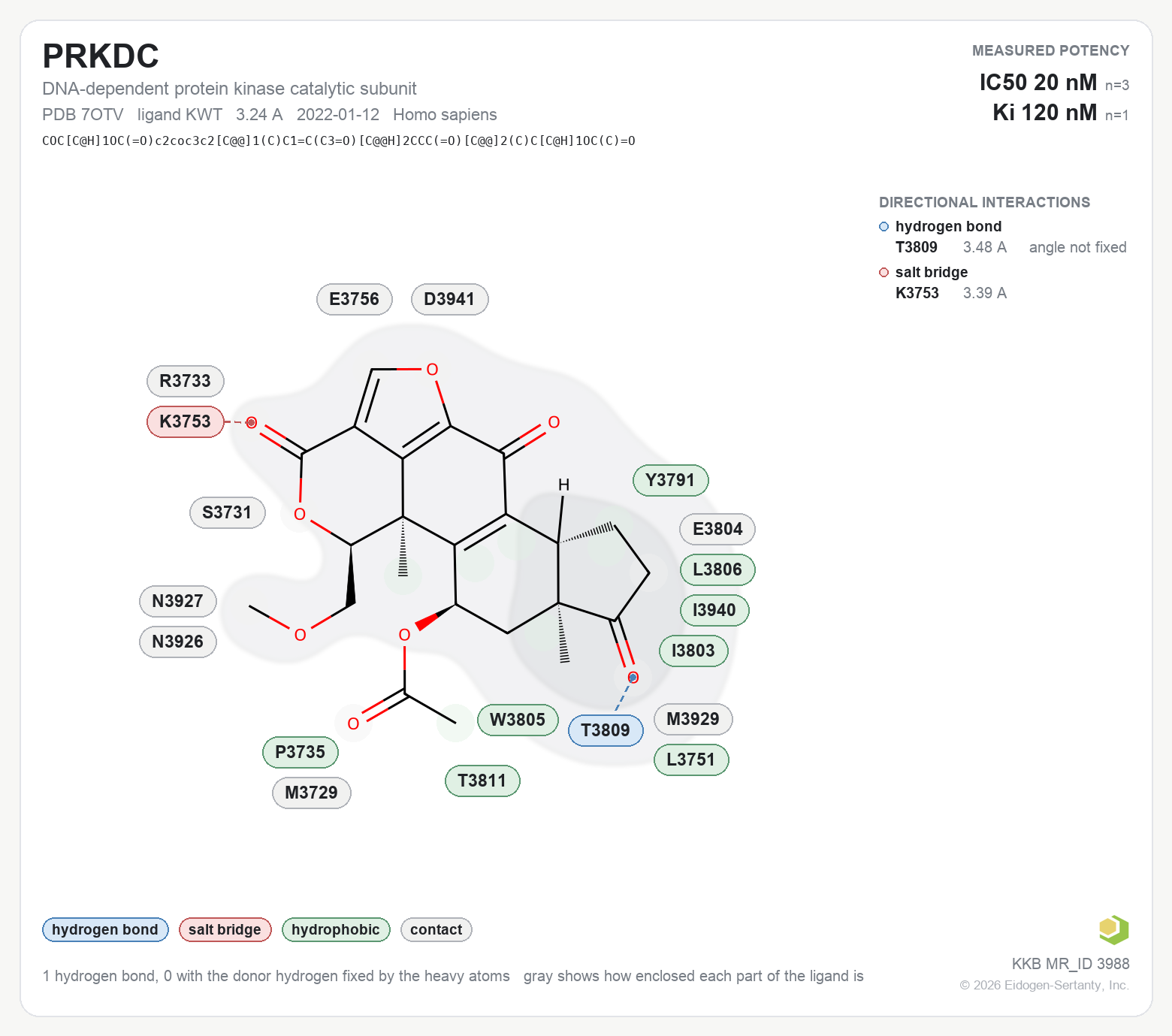 Contact map for PRKDC with ligand KWT from PDB entry 7OTV, showing the ligand as a flat structure with its measured interactions labeled by residue.