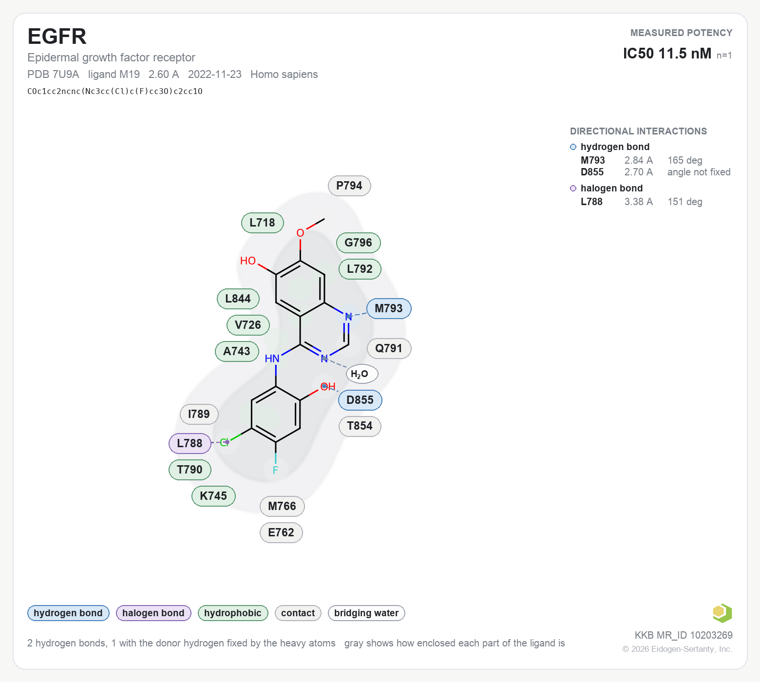 Contact map for EGFR with ligand M19 from PDB entry 7U9A, showing the ligand as a flat structure with its measured interactions labeled by residue.