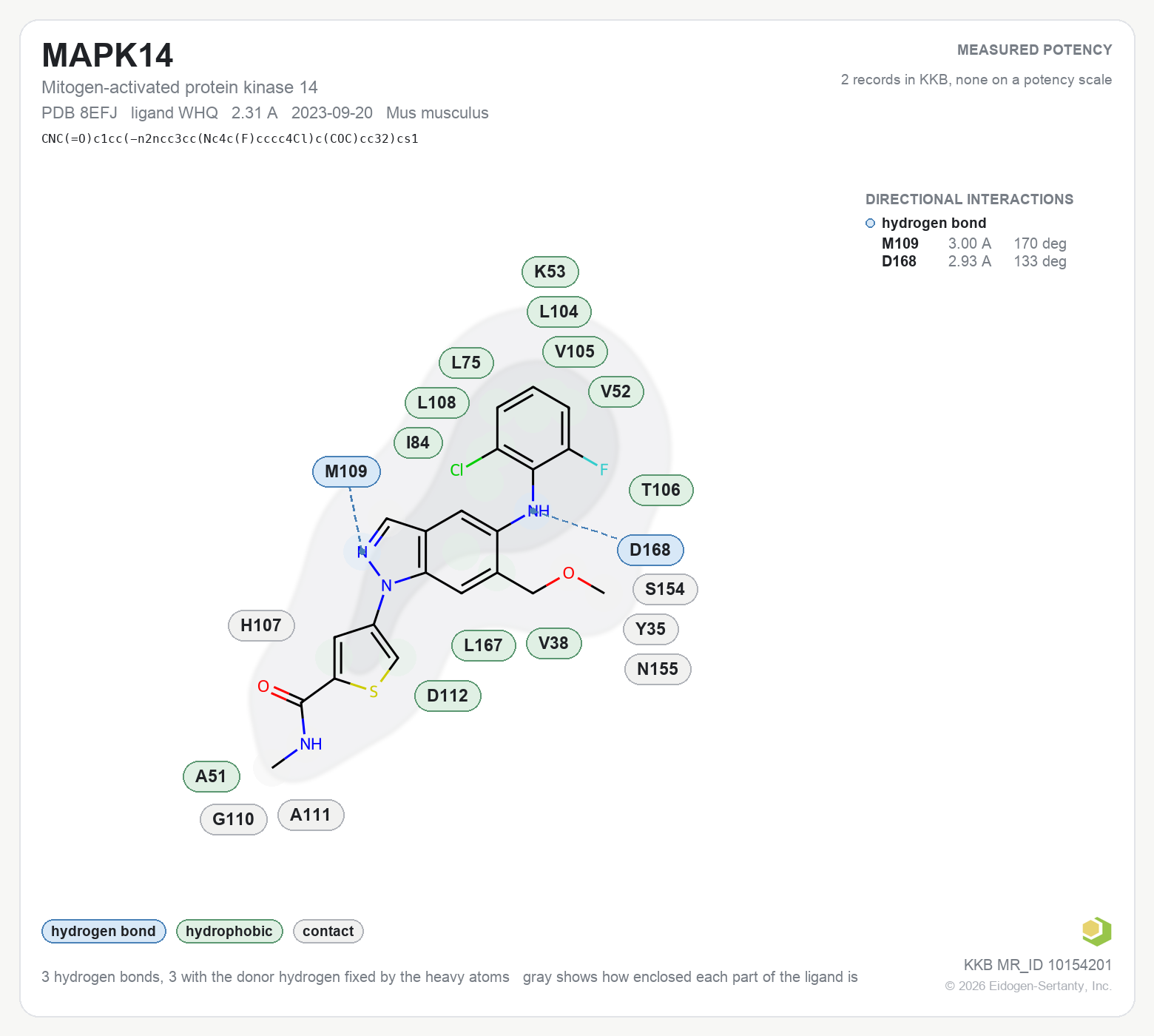 Contact map for MAPK14 with ligand WHQ from PDB entry 8EFJ, showing the ligand as a flat structure with its measured interactions labeled by residue.
