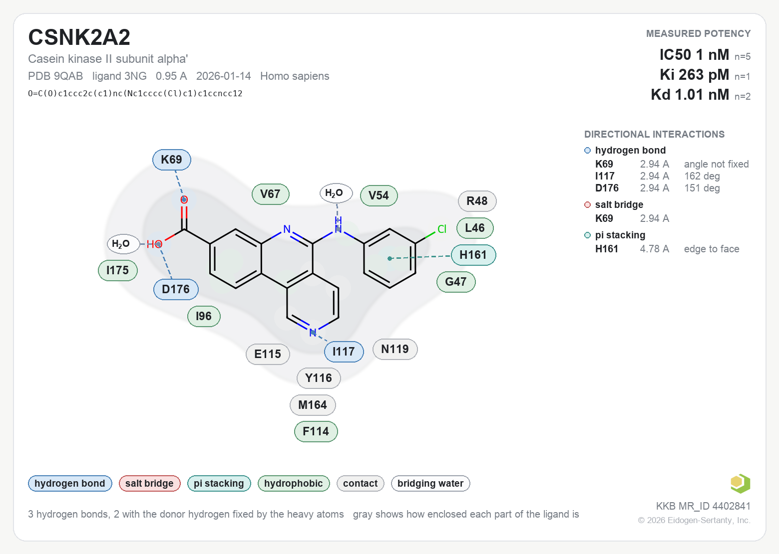 Contact map for CSNK2A2 with ligand 3NG from PDB entry 9QAB, showing the ligand as a flat structure with its measured interactions labeled by residue.