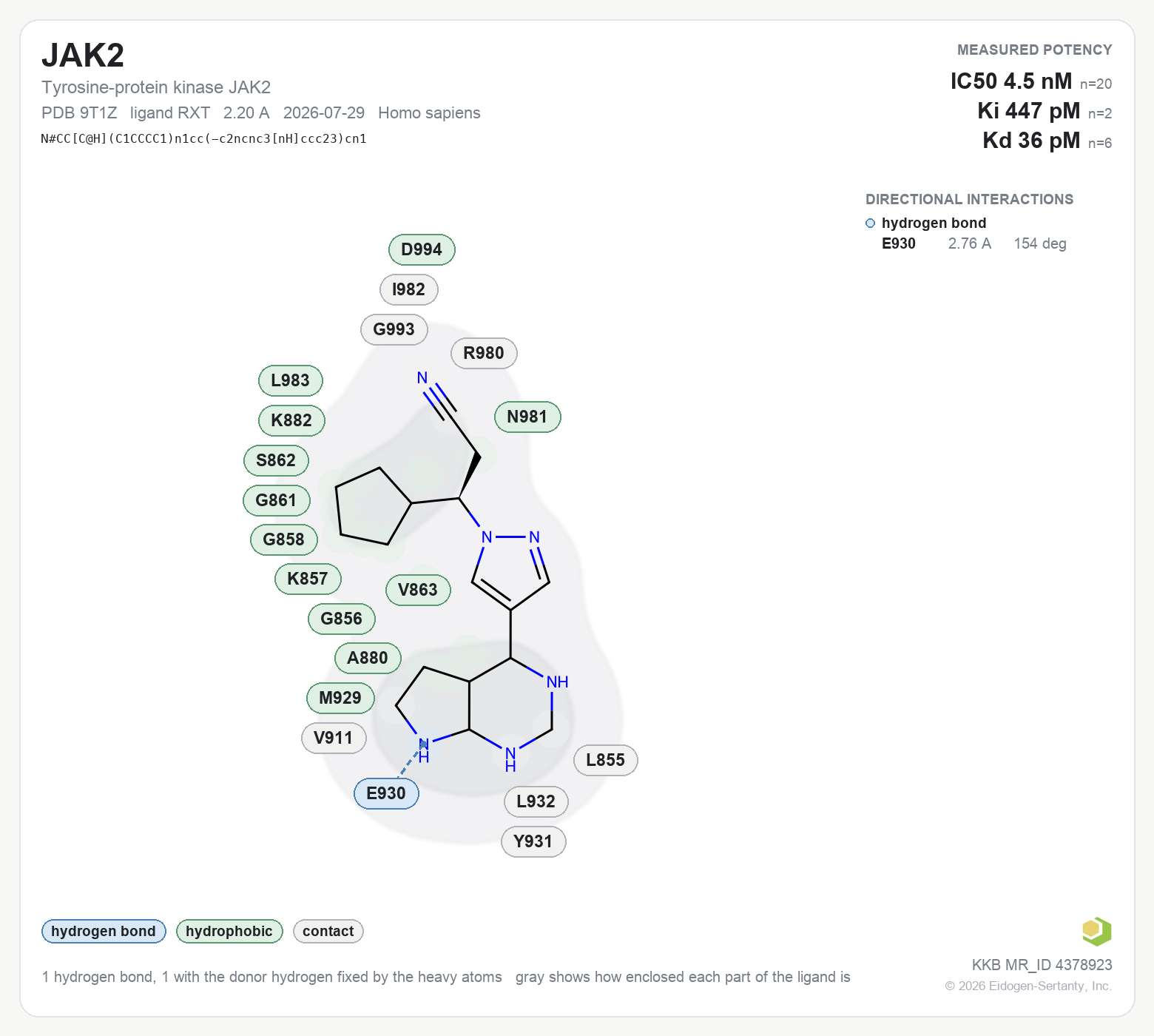 Contact map for JAK2 with ligand RXT from PDB entry 9T1Z, showing the ligand as a flat structure with its measured interactions labeled by residue.