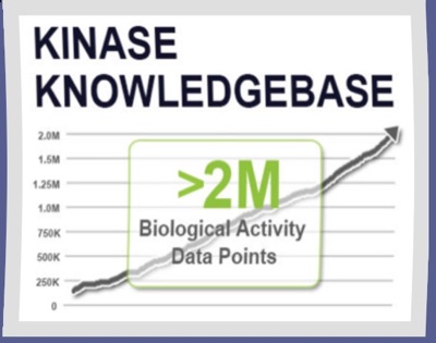 Kinase Knowledgebase